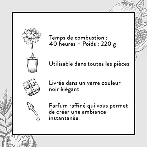 Bougie Air Wick Vanille et Coco – brûle pour 40 heures